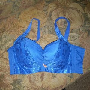 Beautiful Blue Bra